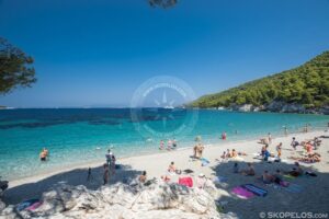 Skopelos Beaches Kastani Beach Photo