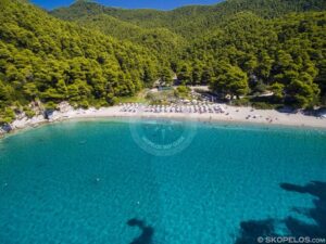 Skopelos Beaches Kastani Beach Aerial Photo