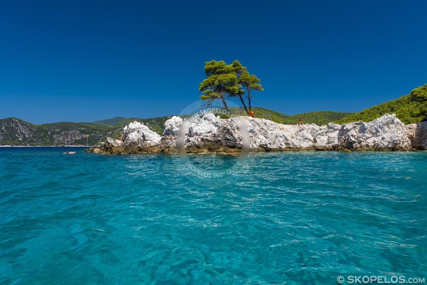 amarandos beach, the three trees beach, skopelos beaches Amarandos Beach, The Three Trees Beach, Skopelos Beaches