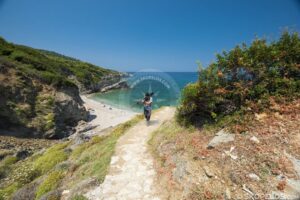 Skopelos Beaches Perivoliou Beach 24