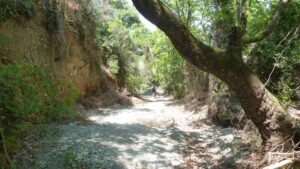 Skopelos Cycling Biking Bicycle
