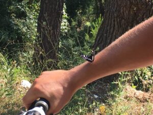 Skopelos Cycling Biking Bicycle