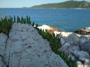 Skopelos Cycling Biking Bicycle