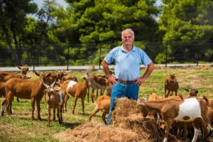 Skopelos Local Products Gerakis Goat Cheese Katiki Ladotiri Trahanas Milk