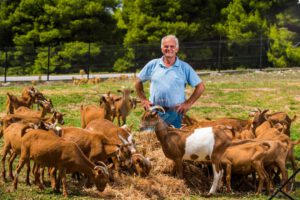 Skopelos Local Products Gerakis Goat Cheese Katiki Ladotiri Trahanas Milk
