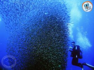 Skopelos Scuba Diving Dive Center Sporades Diving