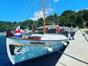 Alexandros X Private Boat Tours Cruises Sporades