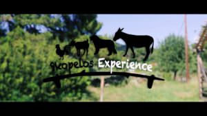 Skopelos Experience