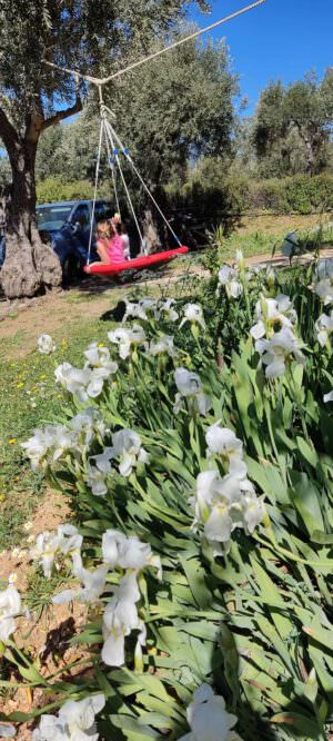 Skopelos Stafylos Adventure Park