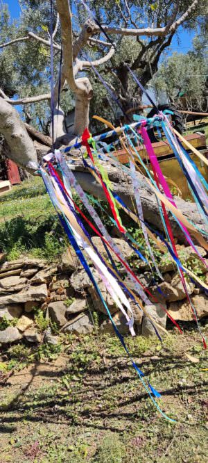 Skopelos Stafylos Adventure Park