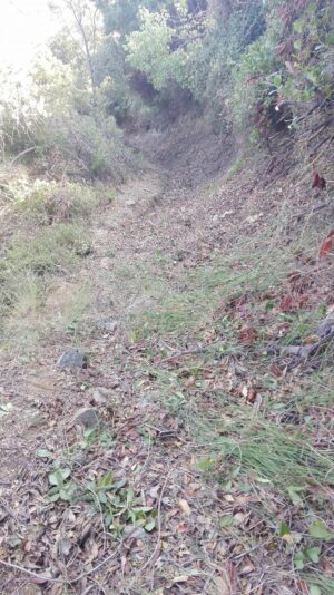 Skopelos Trekking Hiking