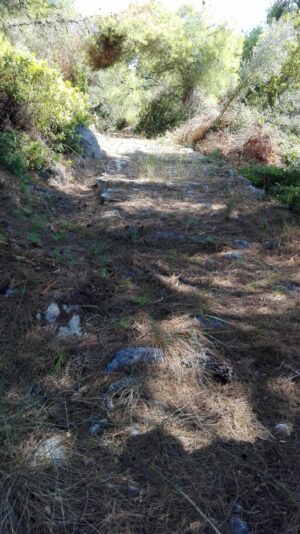 Skopelos Trekking Hiking