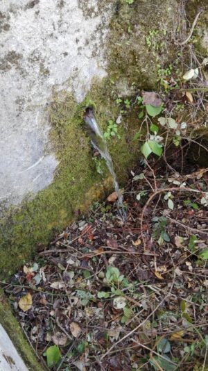 Skopelos Trekking Hiking