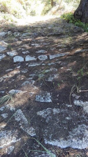 Skopelos Trekking Hiking