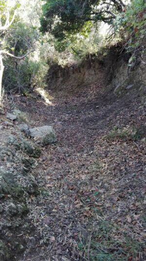 Skopelos Trekking Hiking