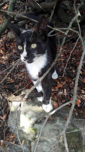 Skopelos Trekking Hiking