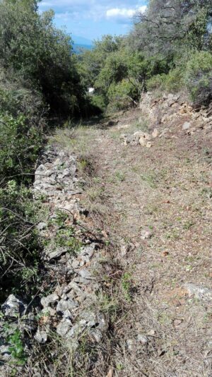 Skopelos Trekking Hiking