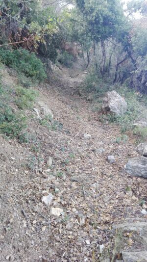 Skopelos Trekking Hiking