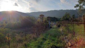 Skopelos Trekking Hiking