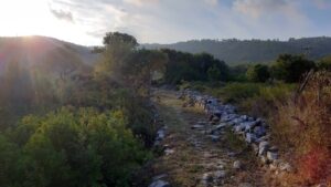 Skopelos Trekking Hiking