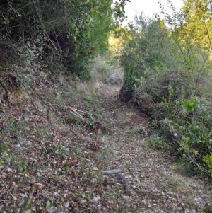 Skopelos Trekking Hiking