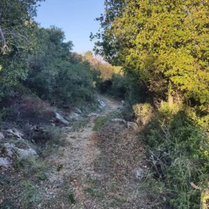 Skopelos Trekking Hiking