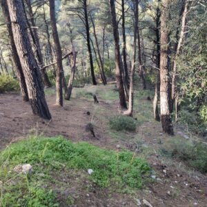 Skopelos Trekking Hiking