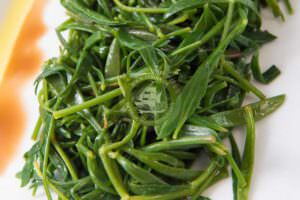 Skopelos Adrina's Taverna 31