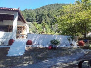 Skopelos Milia Restaurant 4