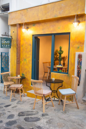 Skopelos Soya Asian Mexican Food