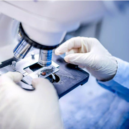 Skopelos Dr Alexandra And Dr Spiros Poyrnaras