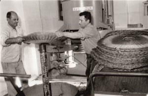 Skopelos Olive Oil Antoniou Family