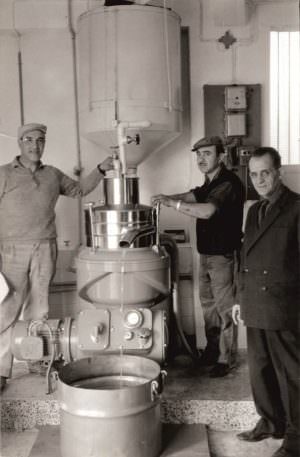 Skopelos Olive Oil Antoniou Family