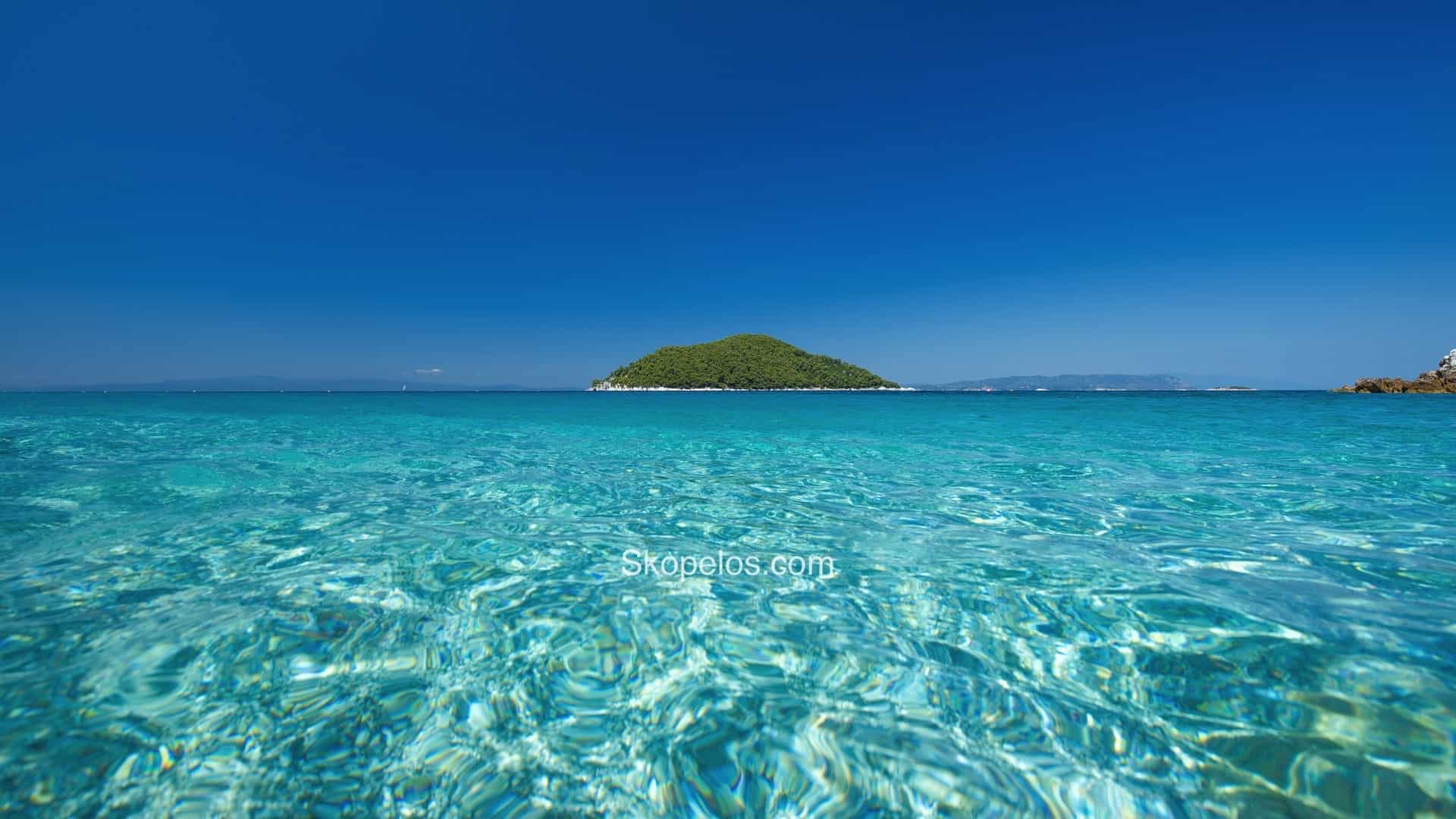 Παραλία Μηλιά Σκόπελος, Το Νησάκι Δασιά, Τα Ξενοδοχεία Adrina