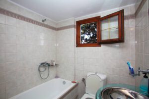 Skopelos Aeraki Apartments