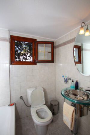 Skopelos Aeraki Apartments