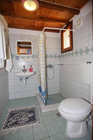 Alexandra Sofia Studios