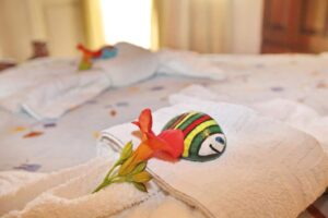 Alexandra Sofia Studios