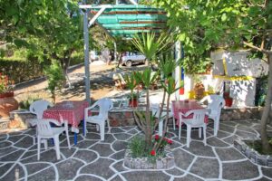 Alexandra Sofia Studios