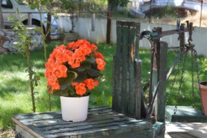 Skopelos Anna George Studios 17 1