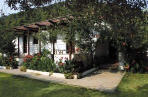 Skopelos Artemis Bungalows 33