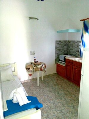 Skopelos Pelagos Beachfront Panormos