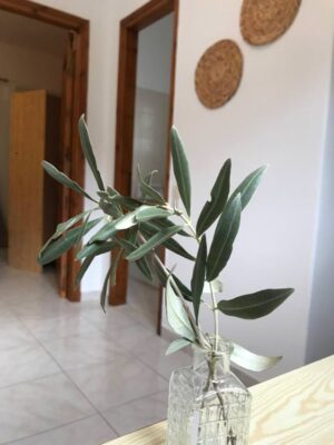 Skopelos Inn Rooms Apartments Stafylos Stafilos