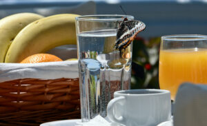 Skopelos Milia Apartments