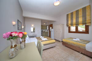 Niki Studios Apartments Skopelos Accommodation Panormos