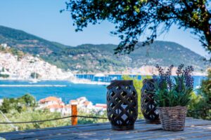 Skopelos Olive Grove Apartment