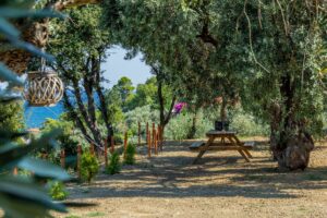 Skopelos Olive Grove Apartment