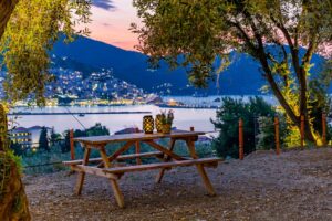 Skopelos Olive Grove Apartment