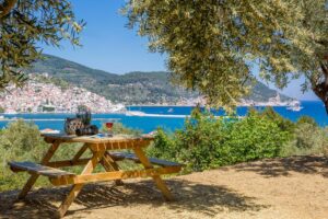Skopelos Olive Grove Apartment