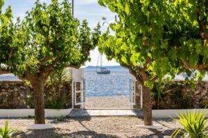 Skopelos Psarrianos Apartments Beachfront Panormos